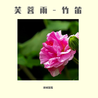 刘珂矣-芙蓉雨伴奏(极限影音唱片)