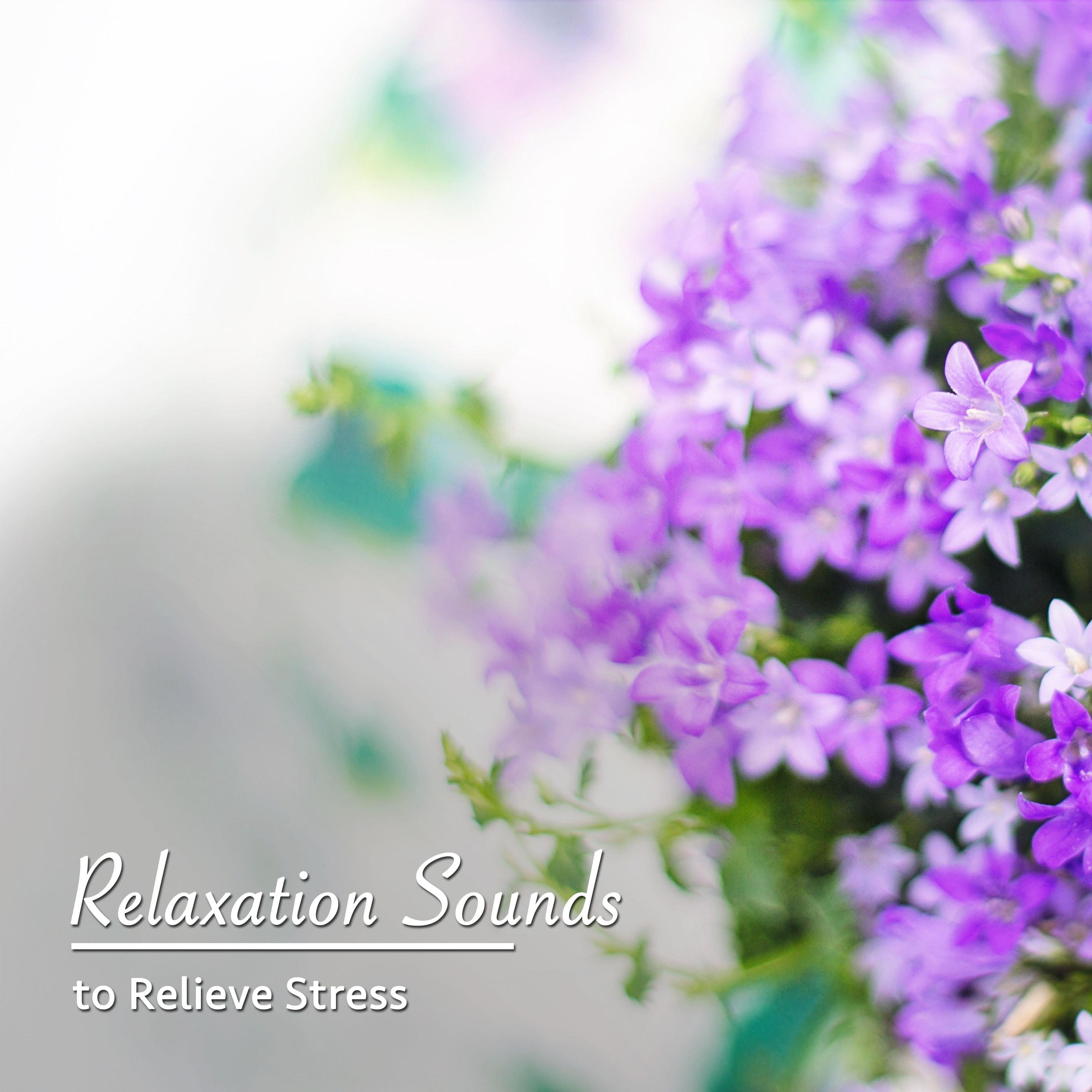 #15 Relaxation Sounds to Relieve Stress专辑