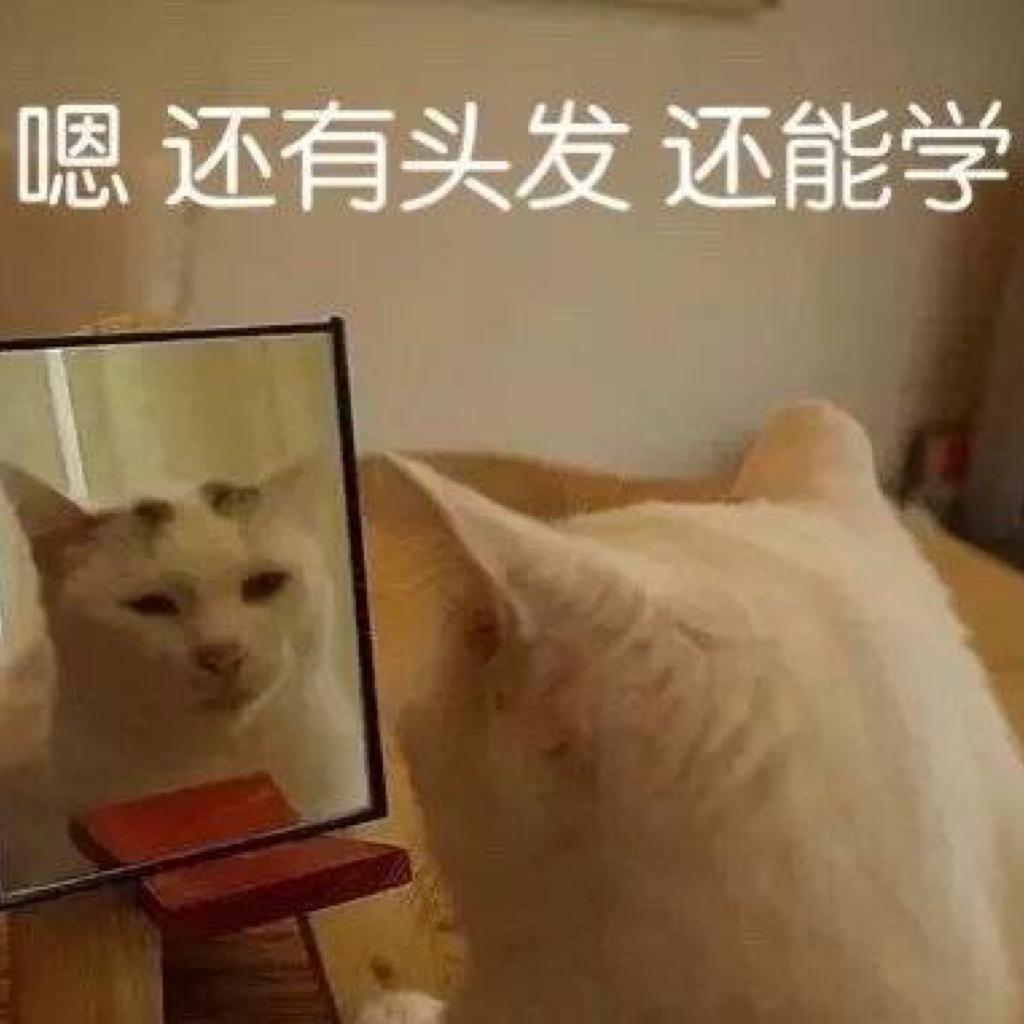 【提神醒脑】赶论文必备 日撸2000不是梦