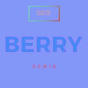 李佳隆-BERRY REMIX（CATI2 Remix）