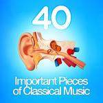 40 Important Pieces of Classical Music专辑