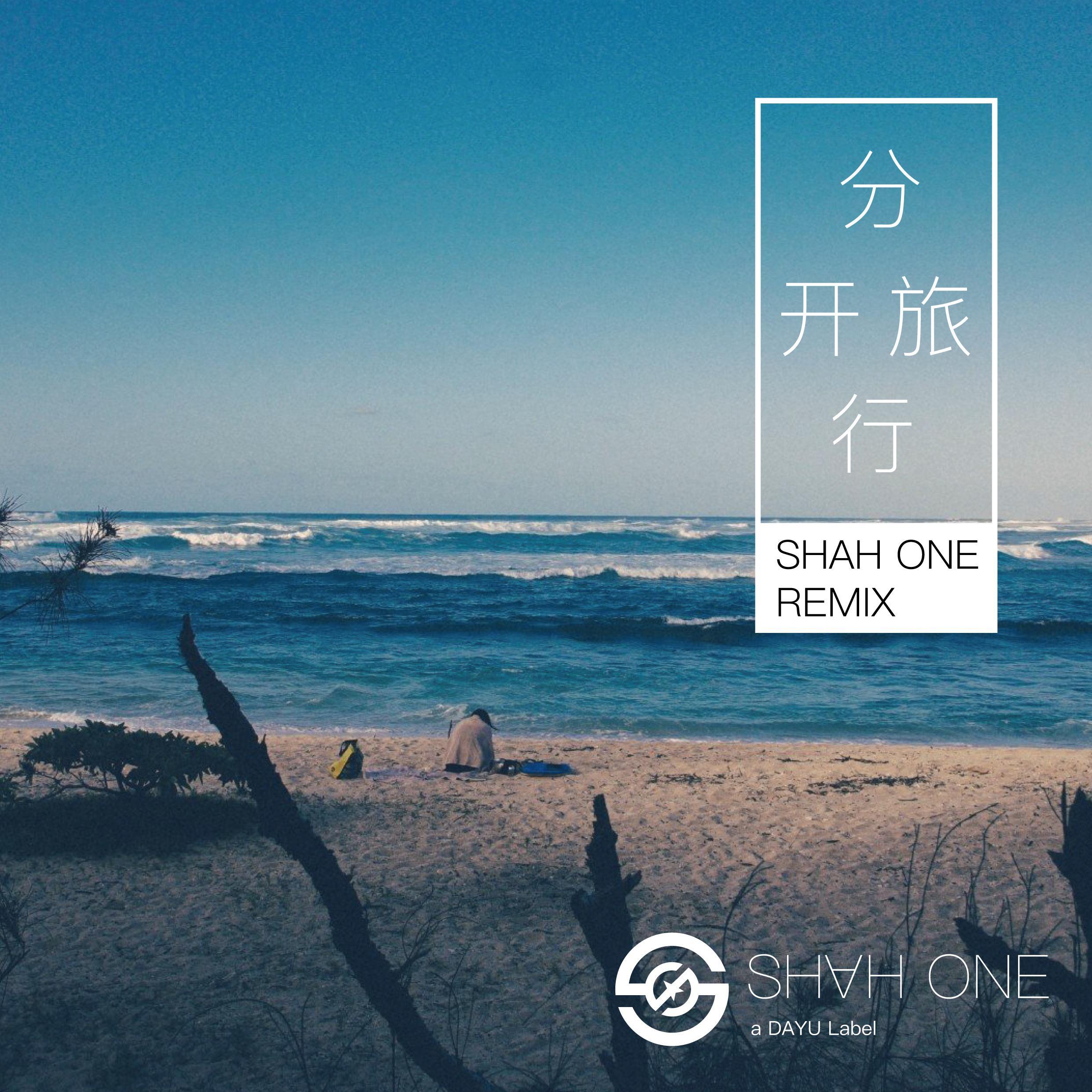 刘若英-分开旅行（SHAH ONE remix）