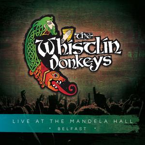 The Whistlin' Donkeys - Isle of Hope, Isle of Tears (live The Forge sessions) (Karaoke Version) 带和声伴奏 （降1半音）