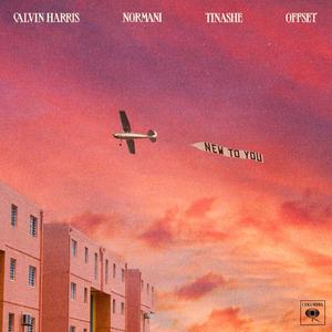 Calvin Harris、Normani、Tinashe、Offset - New To You (精消 带伴唱)伴奏 （升5半音）