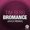 Bromance (Avicii's Radio Edit)