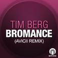 Bromance (Avicii Remix) 