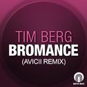 Bromance (Avicii Remix) 专辑