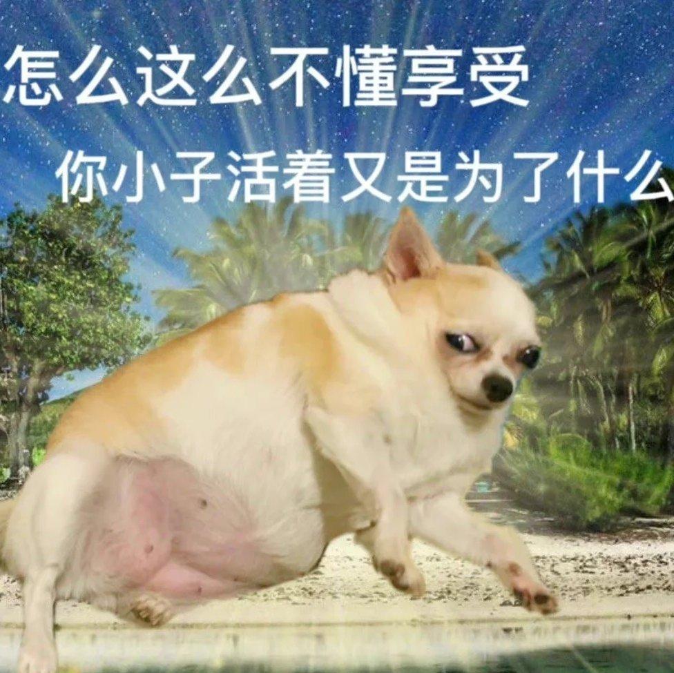 腰椎不好来点烧的