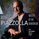 Astor Piazzolla Vol. 2