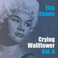 Crying Wallflower Vol. 4