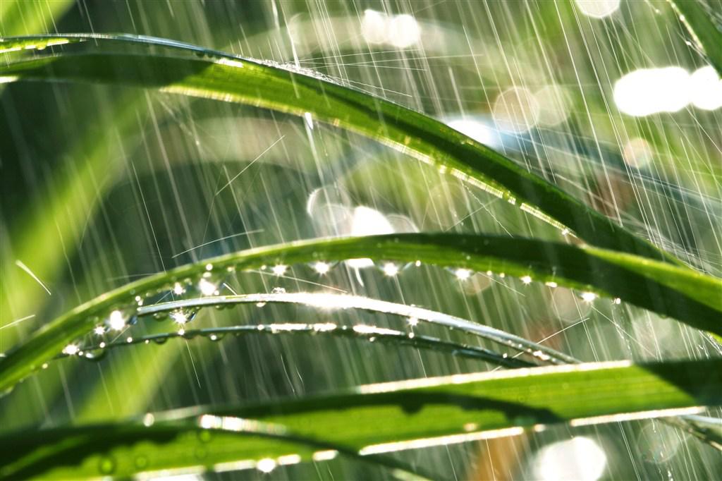 雨水声下的月光专辑