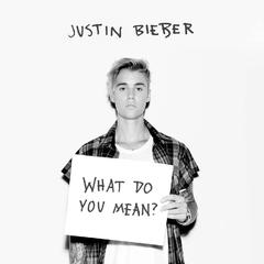 Justin Bieber - What Do You Mean?(Leonaka Bootleg)