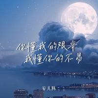 安儿陈 - 你懂我的艰辛我懂你的不易 (精消带伴唱)伴奏