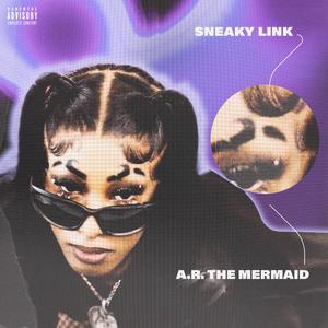A.R. The Mermaid - Sneaky Link (Instrumental) 原版无和声伴奏 （升1半音）
