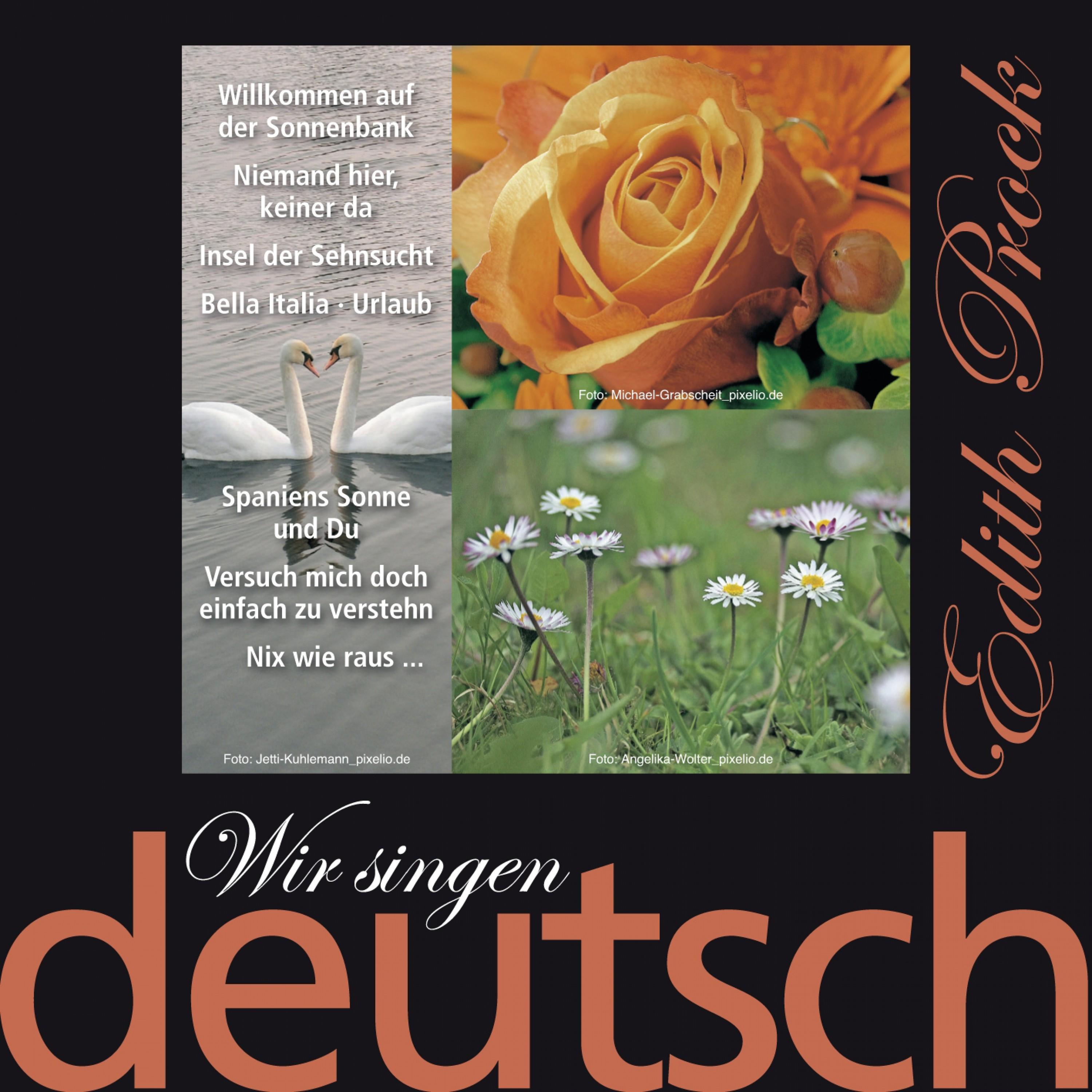Wir singen deutsch - Sommerträume