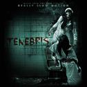 RESL003: Tenebris专辑