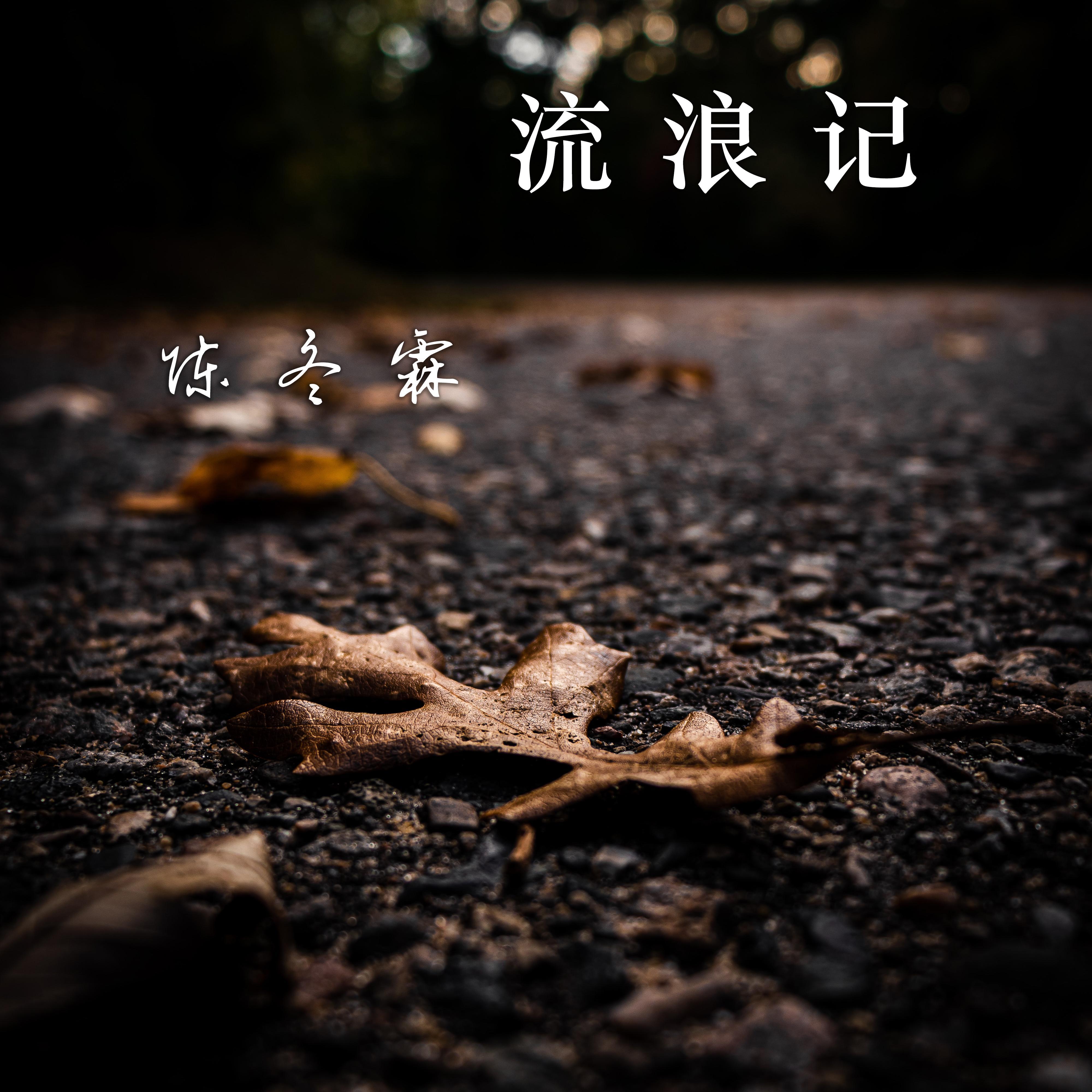 流浪记