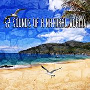 57 Sounds Of A Natural World