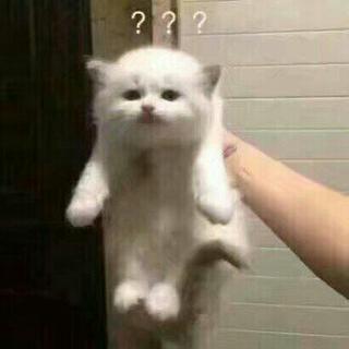 T$P 龙泽宇 beef收录