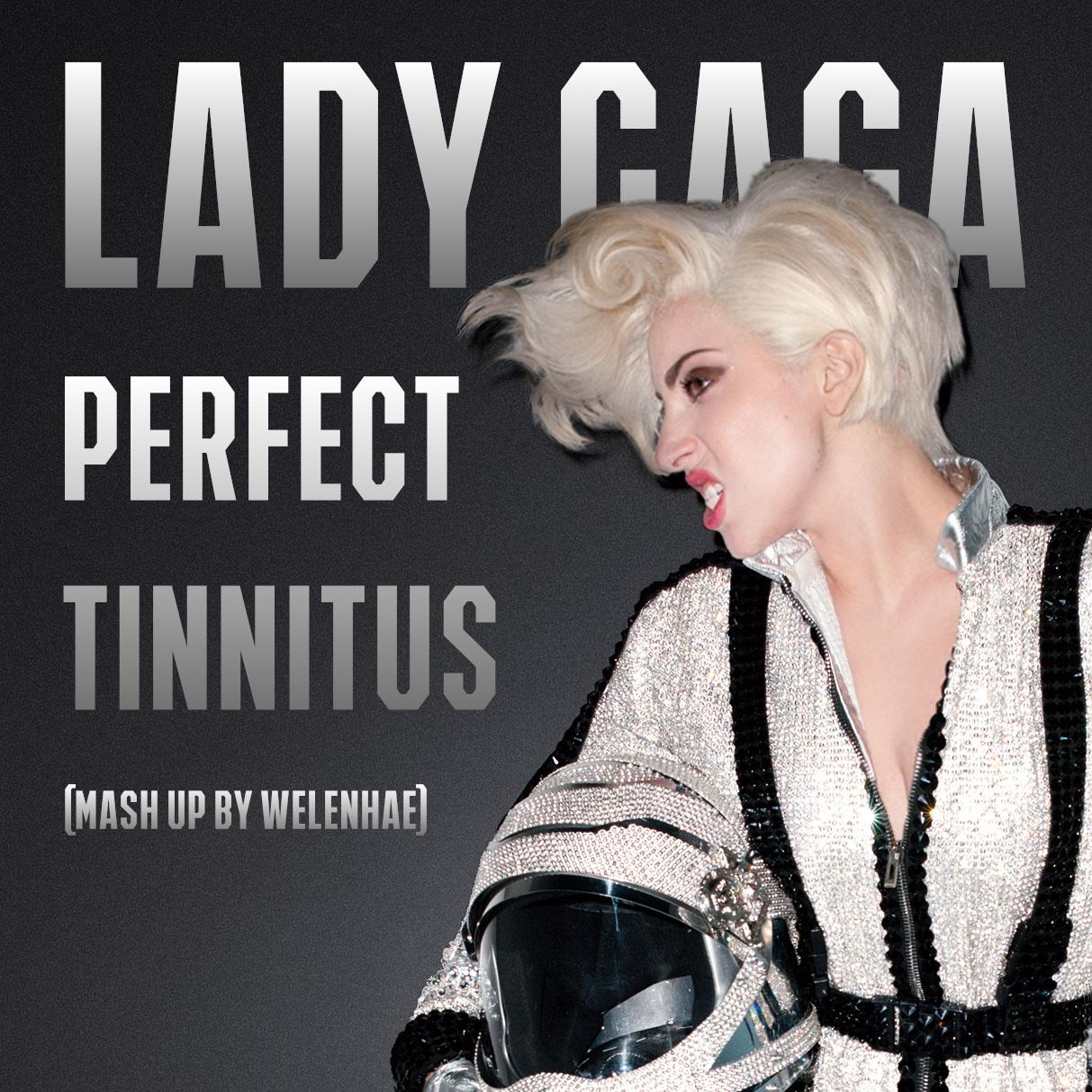 lady gaga - perfecttinnitus(mash-upbywelenhae)