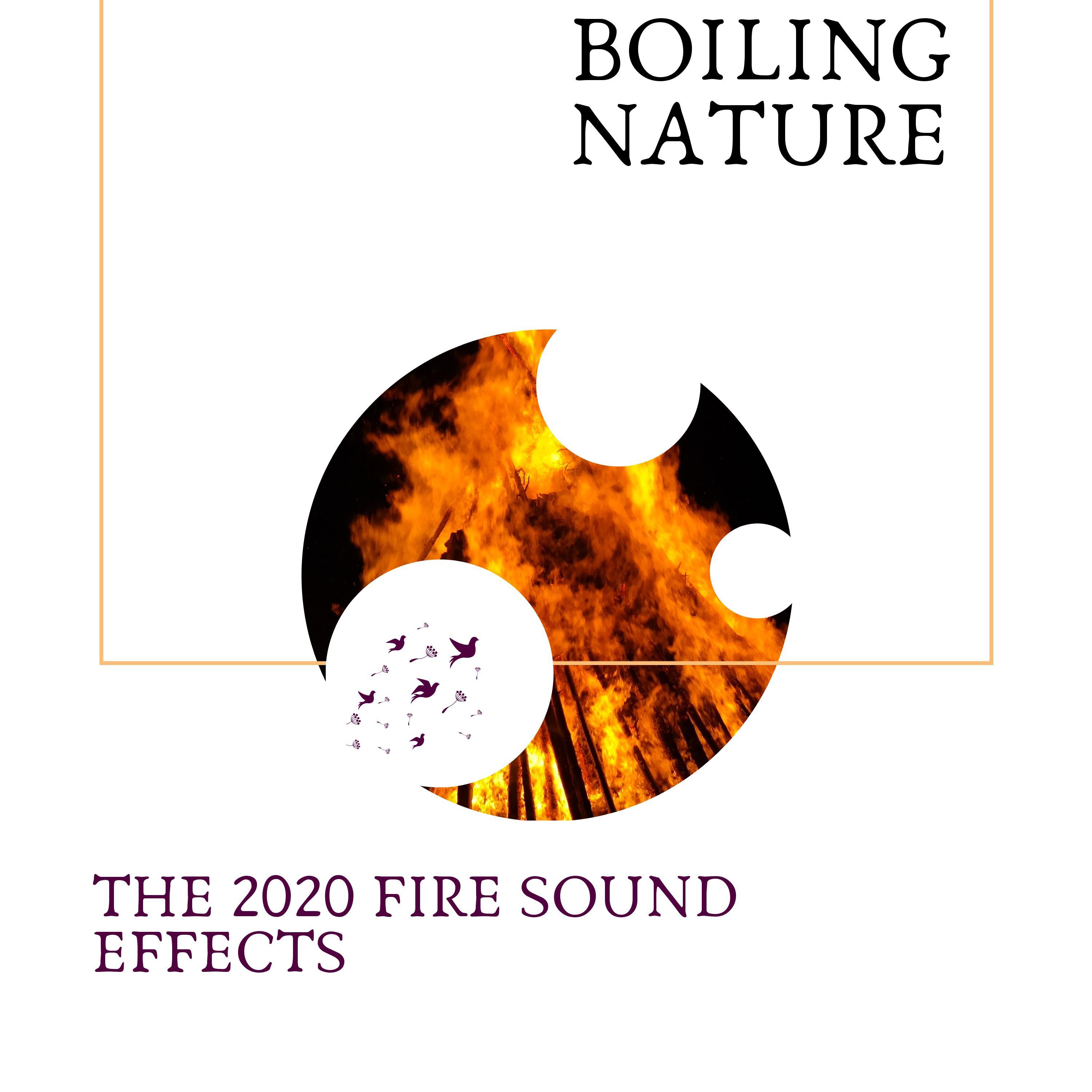 Big Fire Nature Sounds Library - The Wind Noise