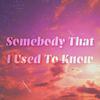 kidolitx - Somebody That I Used To Know (Remix)