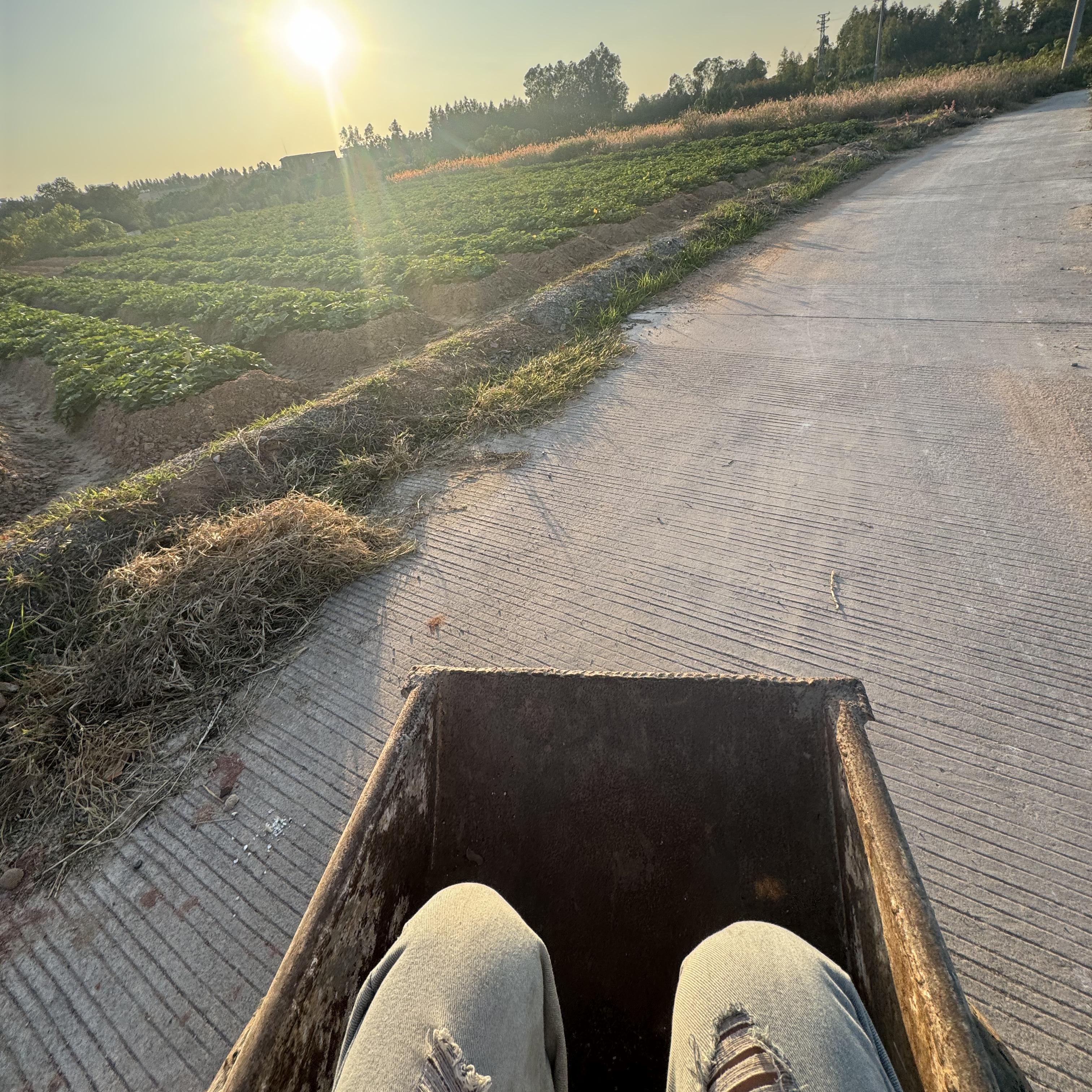 总有人教你长大 但方式不值得感谢
