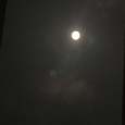 鱼饼的翻唱集