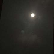 鱼饼的翻唱集