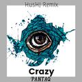 Crazy （HusH! Remix)