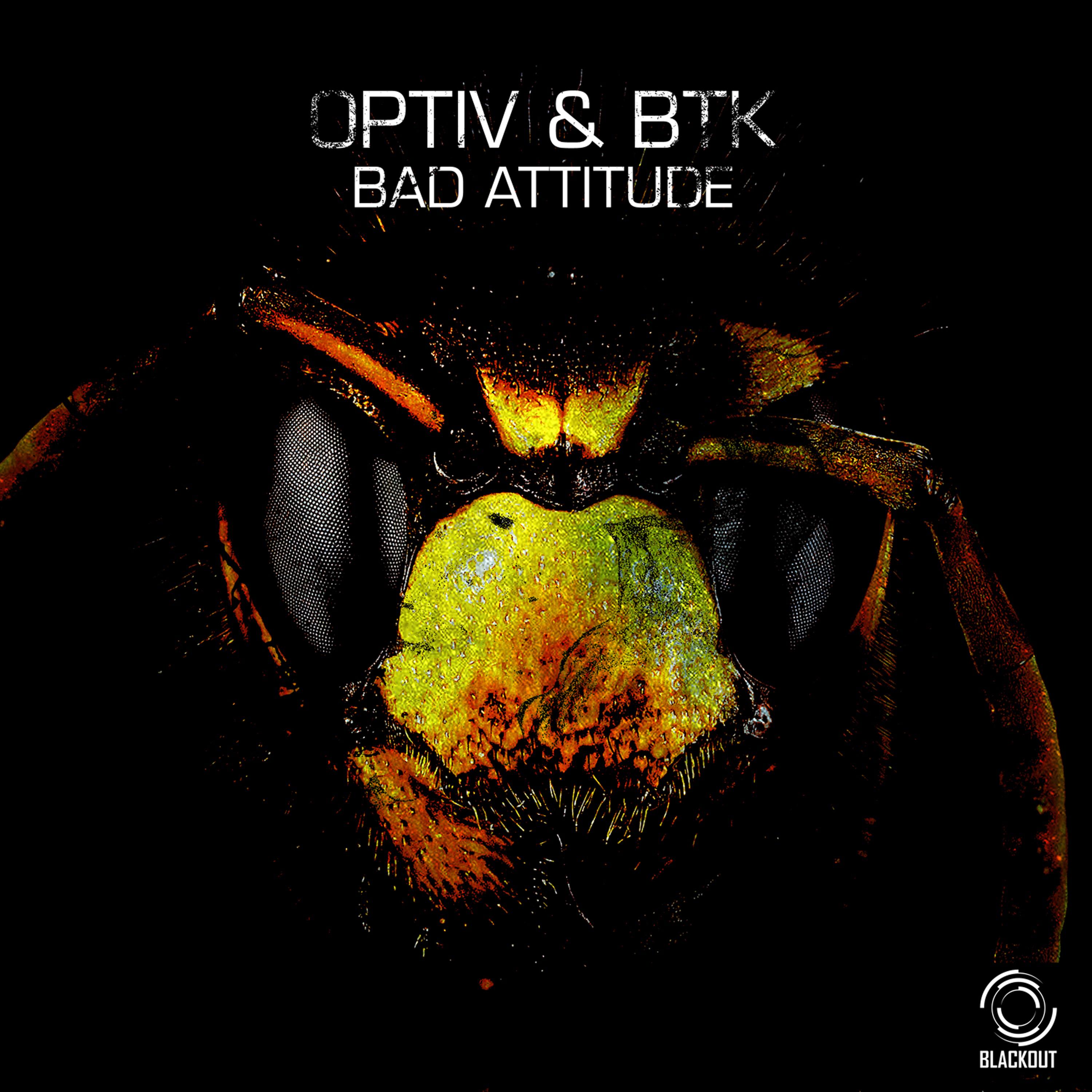Bad Attitude