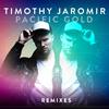 Timothy Jaromir - The Blame Game (Pablo Nouvelle Remix)