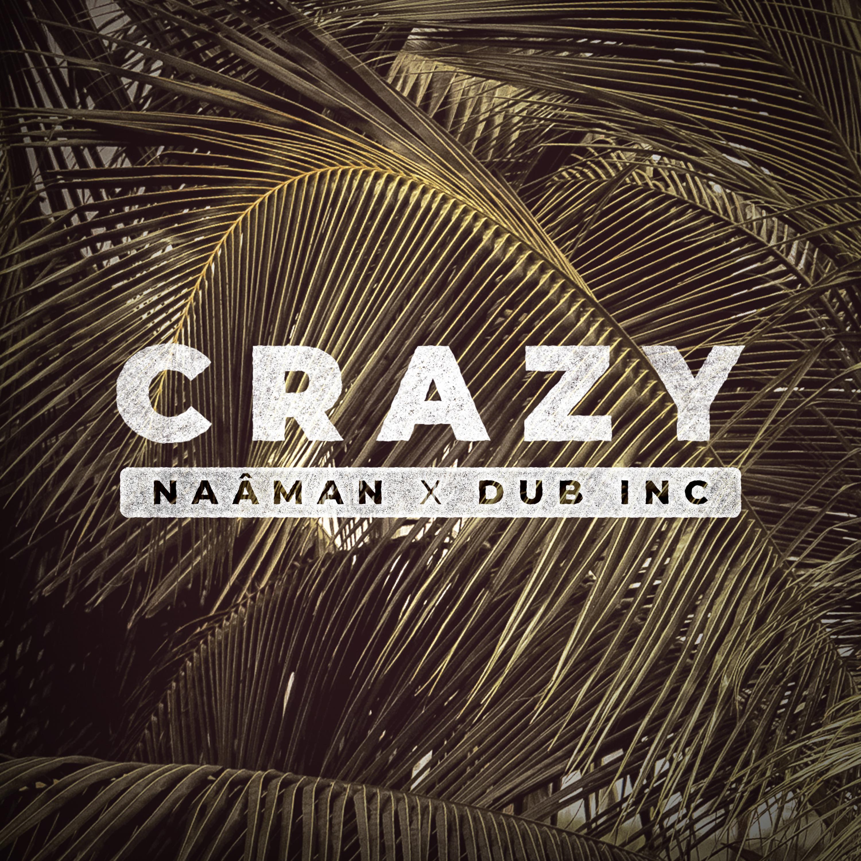 Crazy (feat. Dub Inc)