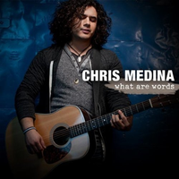 Chris Medina-What Are Words 伴奏 无人声 伴奏 更新AI版