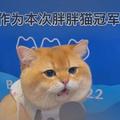 洛语L.Y