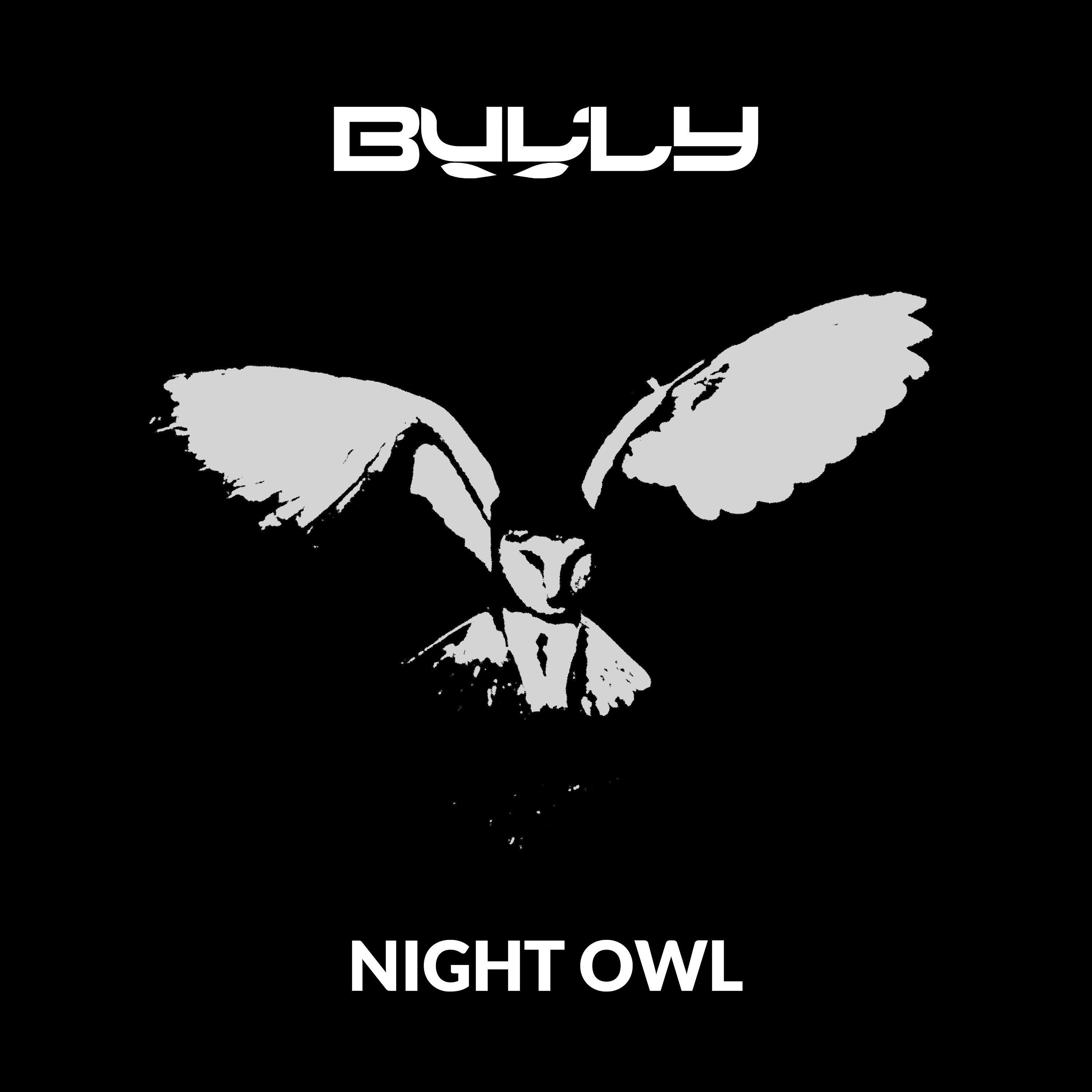 Night Owl