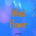 Wind Flower专辑