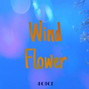 Wind Flower 中文（cover MAMAMOO）（翻自 Mamamoo）