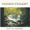 Hidden Forest专辑