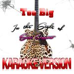 Too Big (In the Style of Suzi Quatro) [Karaoke Version] - Single专辑