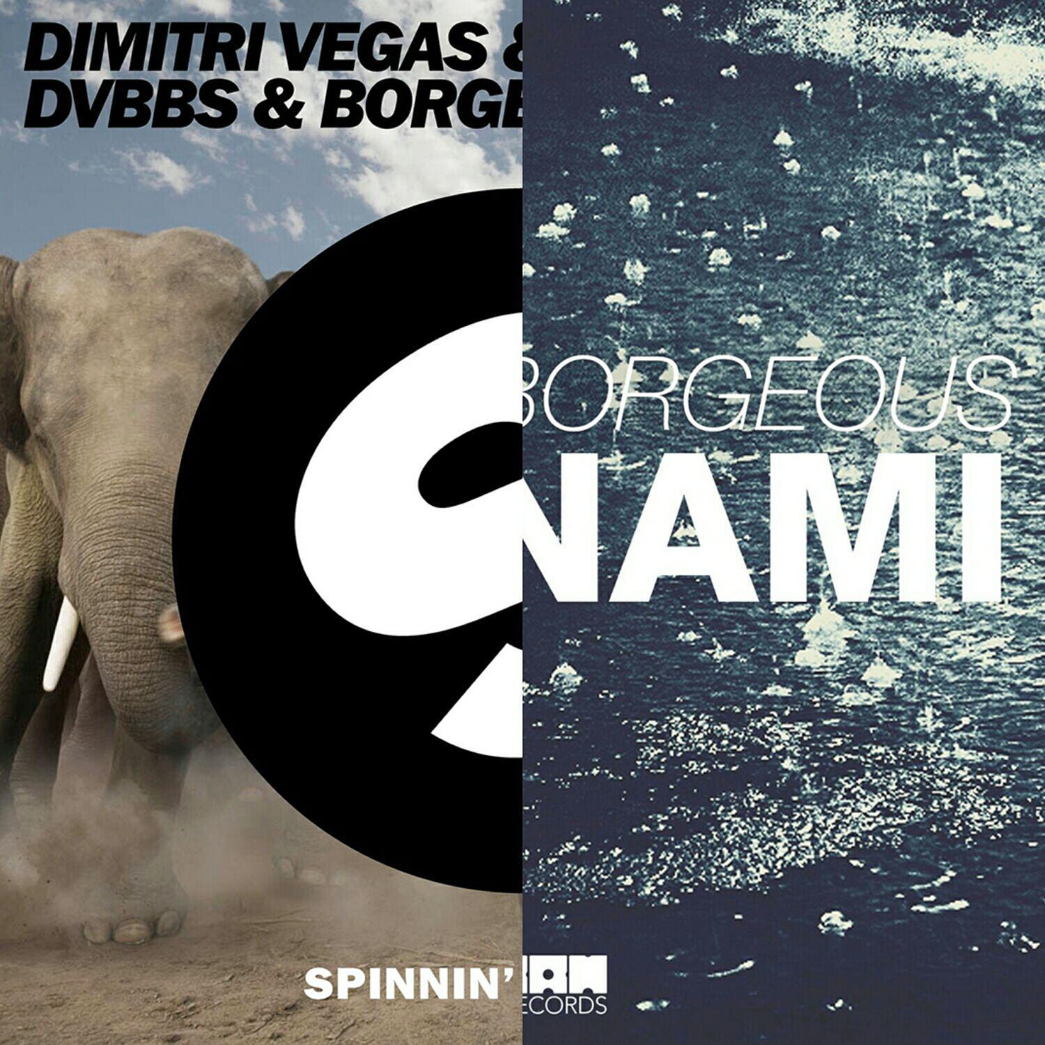 Stampede Tsunami (Micoco mashup)