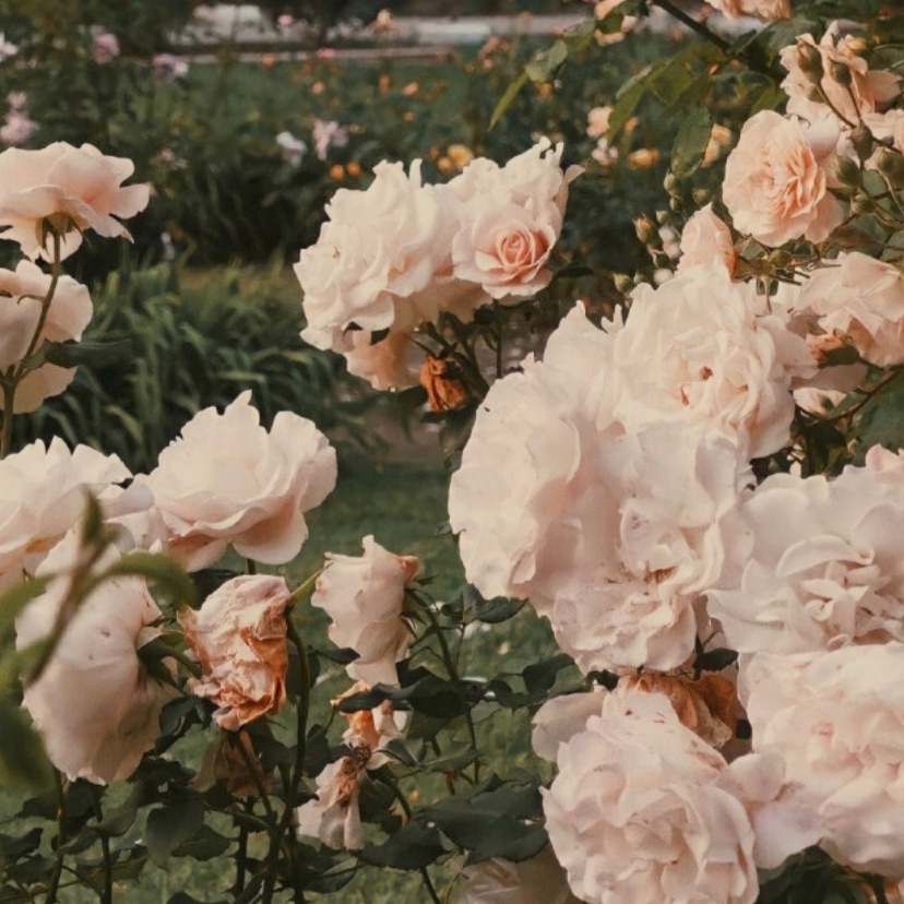 就是爱你 原唱：陶喆