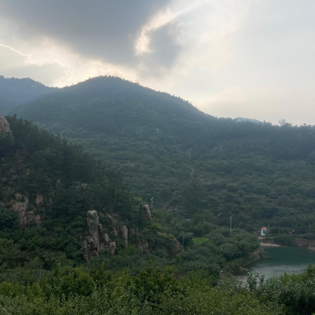 纯白噪音 雨声 篝火声（无音乐）