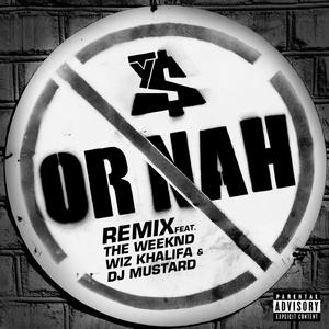Or Nah - Ty Dolla Sign feat. Wiz Khalifa and DJ Mustard (karaoke) 带和声伴奏 （升5半音）