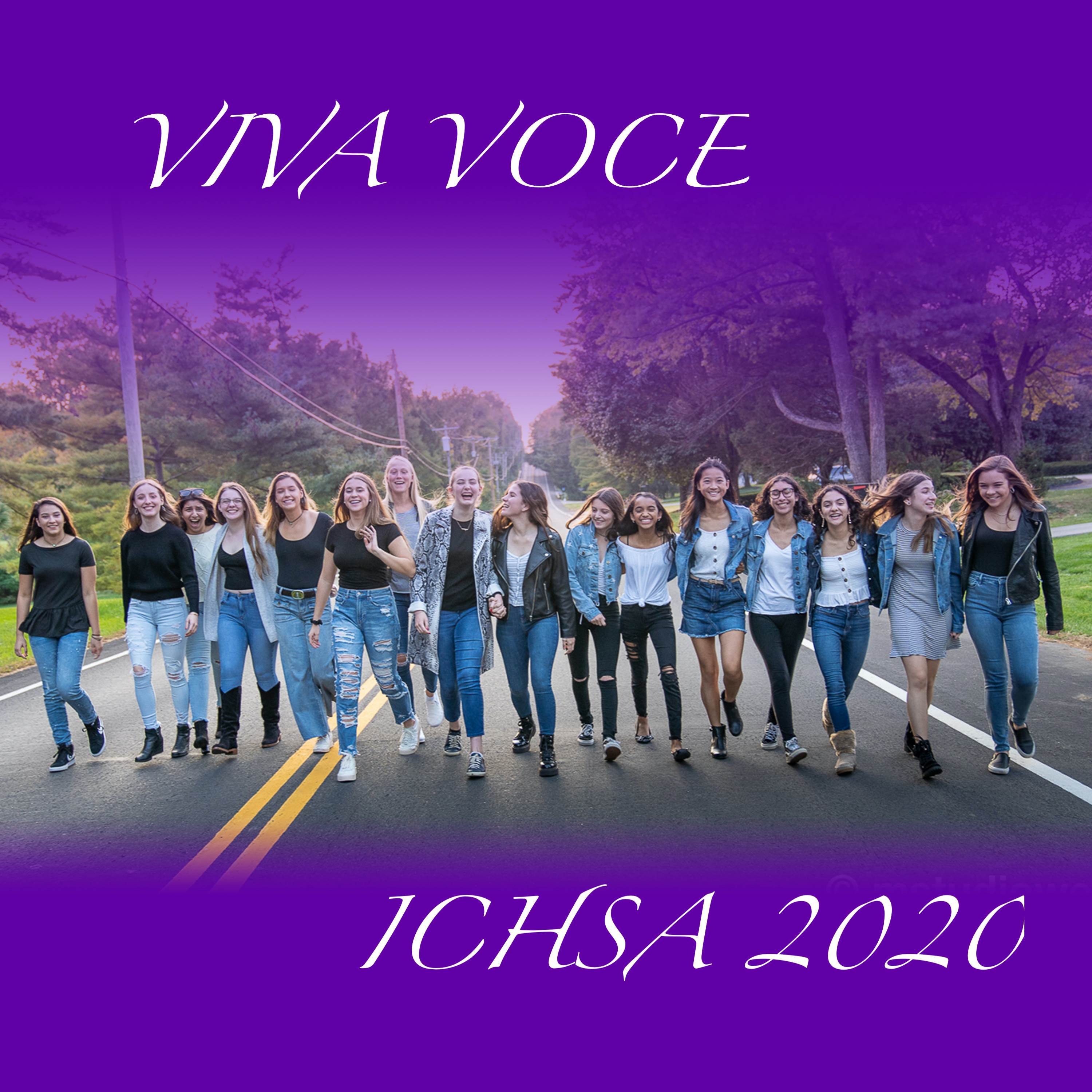 Viva Voce ICHSA 2020