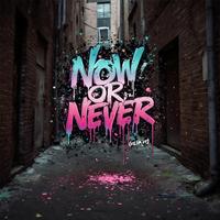 Bassline Junkees - Now Or Never (flip it!) - 01 Now Or Never (flip it) - Extended Mix