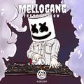 MeLLogAng