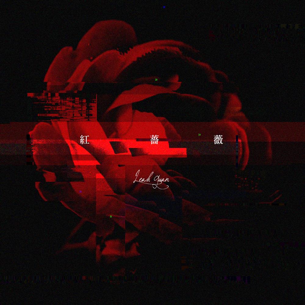 红蔷薇（Cover 王宝与正午阳光）