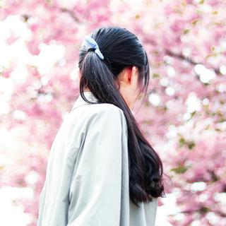 静听 丨 2017年的春天依旧璀璨♪