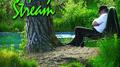 Sleep by a Stream (Nature Sound)专辑